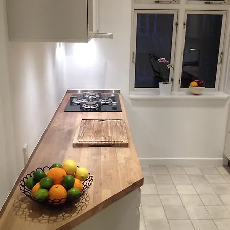Apartman Bramslykkevej *